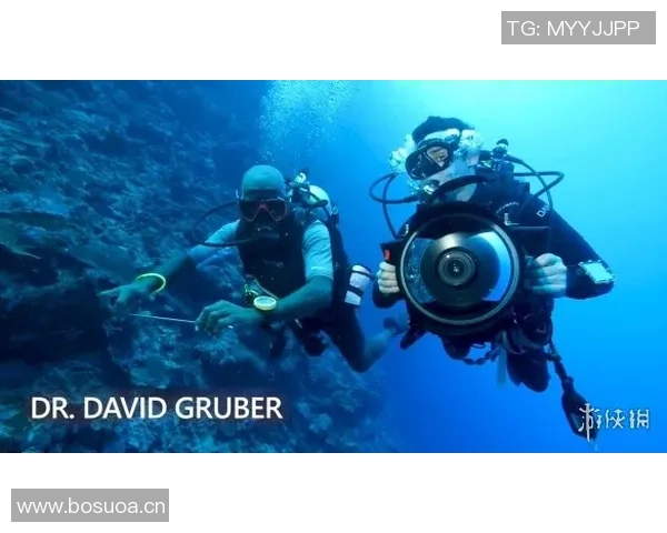 竞技SUP：探索风浪中的极限挑战与水上运动新趋势